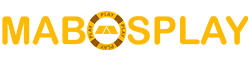 Platform Service Provider